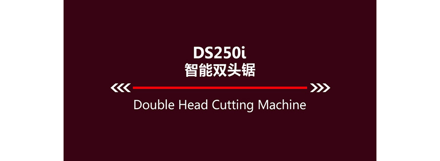 DS250-推文-09jpg.jpg